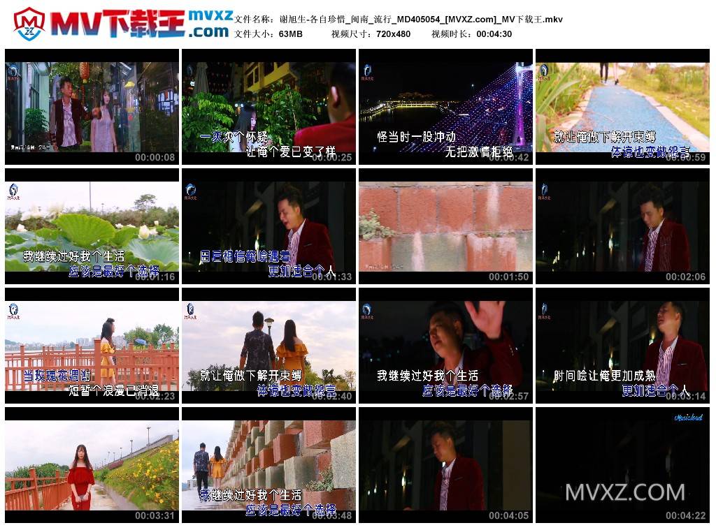 谢旭生-各自珍惜_闽南_流行_MD405054